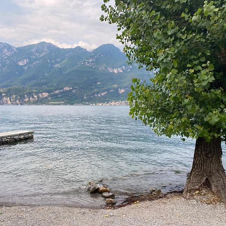 Al Cottage Oliveto Lario Exterior foto